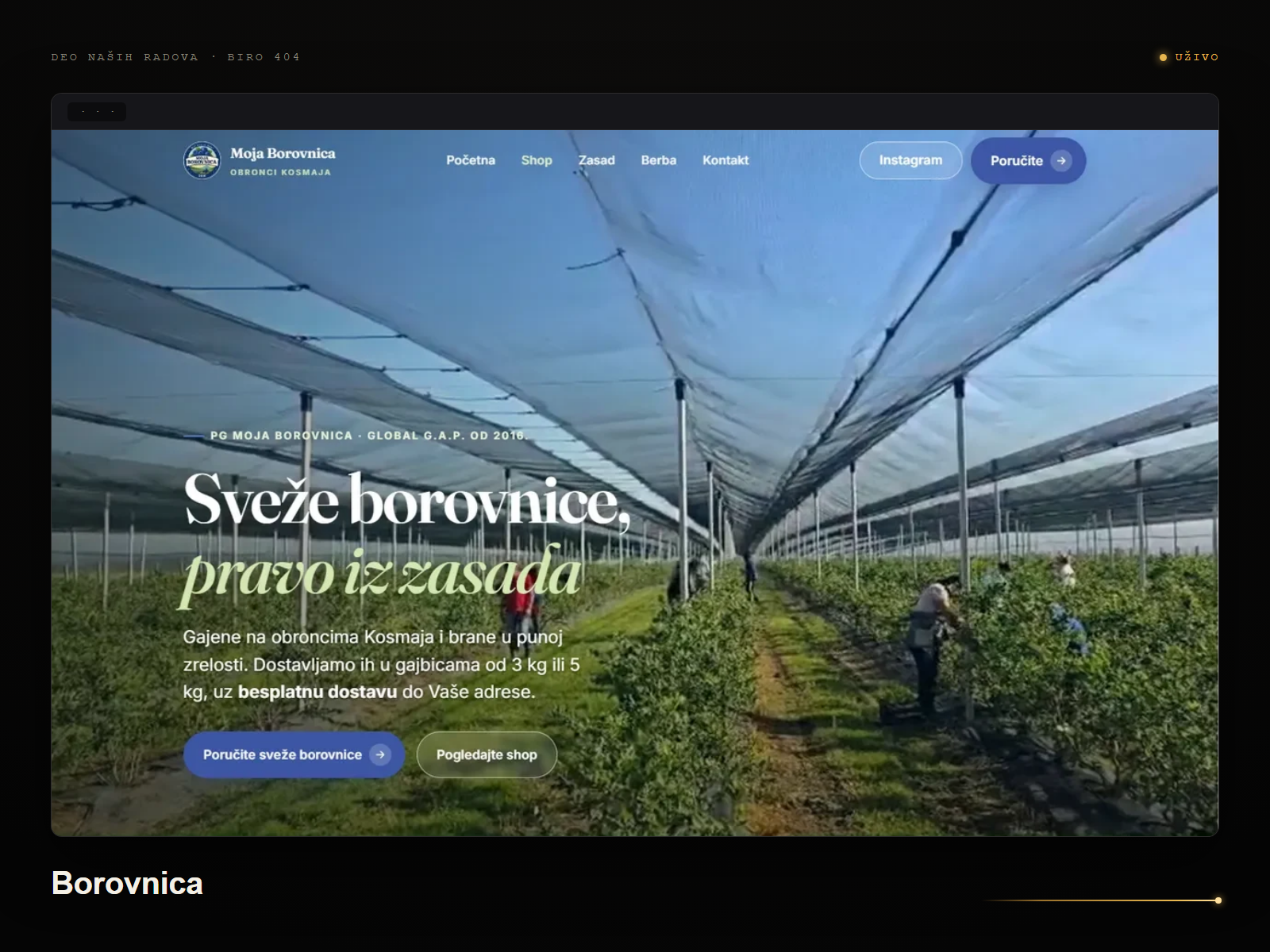 Cover: Borovnica — UŽIVO